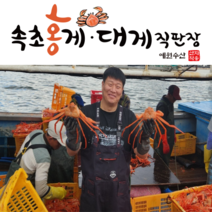 [속초 산지직송] 예원수산 제철홍게 생물 자숙(찜) 라면용 실속형 정품형 박달형 홍게택배, 1개, 3kg(9-11미)