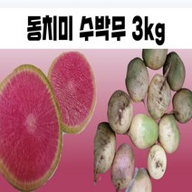자색무 보라색 동치미 수박무 3kg