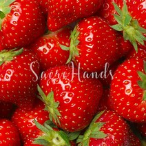 새로핸즈 플레이버오일 딸기향 식향 50ml, 단품