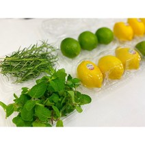 라임 레몬 애플민트 3개입, 레몬3개+로즈마리10g