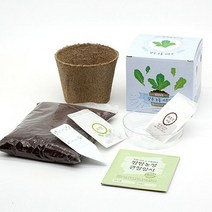 팜팜농장시리즈 키우기 틔움세상 모종 화분재배키트, 고추