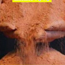 천연고운생황토흙10kg 분갈이흙(개별)
