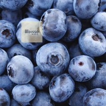 영화청과_보관_저장_재배_시세_수입__냉동_100g_블루베리_생 EA83, 상세페이지 참조