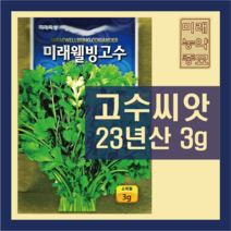 고수 씨앗 3g 23년생산, 1개