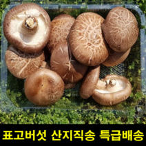 지앤제이 고씨네 생표고버섯중상품1kg 생표고버섯 표고버섯선물, one color, free