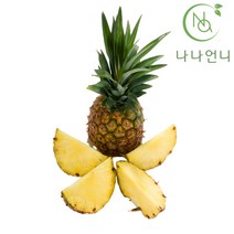 나나언니 필리핀 파인애플 10개 (개당 1.2kg내외)