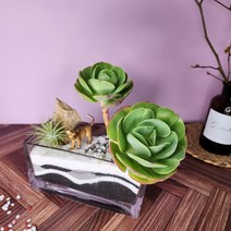 [ 골든메이 ] 사파리 다육이 나무 정원 둥근잎 비취후리데, 바로선사자