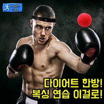 다이어트 챕볼 초급자용 권투글러브