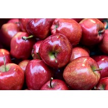 14-16브릭스 고당도 꿀사과 맛있는 경북 부사 사과 10kg, 1개, 중대과5kg(13-15개)