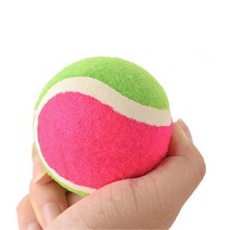 어린이체육 타겟던지기공 벨크로 하드공 2개 찍찍이캐치볼 찍찍이공놀이