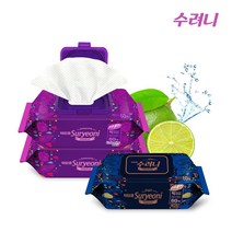 수려니 프리미엄 빅사이즈 대형 엠보싱/플레인 10팩 1BOX 노인물티슈 요양원 병원물티슈 환자물티슈 간병용품 비데티슈, 플레인1BOX, 10개