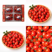 대추 방울토마토 3KG 1번 싱싱과일 맛있는토마토 대추토마토