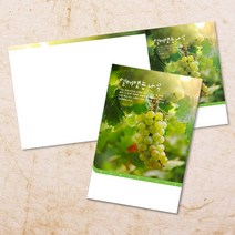 교회주보 예배 주보용지 3단6면 주보지 안내지 전도지 절기 부활절 추수감사 맥추감사 성탄절 신년감사 디자인 기독교용품, EW-28