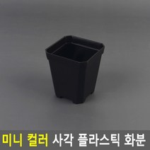 미니 사각 플라스틱 컬러 화분 소형 어린이집 화단 꾸미기 체험 교구 다육이 7x8cm 소 블랙