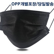 일회용 마스크 위생마스크 - 검정 10매(당일발송)개별포장, 10매입, 1세트