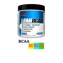 에볼루션 뉴트리션 린 BCAA 237g 블루래즈 Evlution Nutrition LeanBCAA BCAAs CLA and L-Carnitine