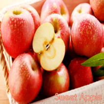 [바농프레시] 고당도 감홍사과 명품 꿀 사과, 1개, 흠과(가정용) 5kg 혼합과