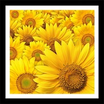 히여 보석십자수 DIY 패키지 해바라기 BH-076 원형비즈 40 x cm, 혼합색상, 1개