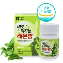 40대 중년 술살 뱃살 똥배 살 허벅지 팔뚝 빼기 과식 야식 전후 레몬밤 기름진음식 다이어트 보조제 체지방 컷팅제 3개월