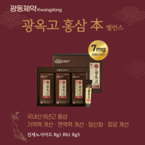 광동 광옥고 홍삼본 밸런스 진세노사이드 항산화 면역력 기억력 혈소판 응집에 도움, 2박스, 10ml x 30포