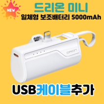 드리온 일체형 미니 보조배터리 5000mAH PD 고속 충전 지원 C타입 +핫팩, 드리온 일반 8핀