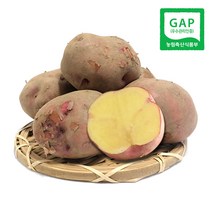 속노란 하동 자색유황감자 (왕특) 1.8kg 외 / 홍감자 2022년 가을수확 감자, 1박스, (왕특) 3.7kg