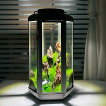 클리오네 LED 미니 테라리움 M320 테라리움 어항
