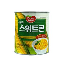 동원 스위트콘 옥수수콘 옥수수캔 2.95kg, 단일제품