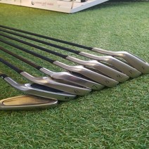 미즈노 골프 입문용미즈노 노터스 골드 4 PF 8i FLEX-R 카본 아이언, 단일 제품