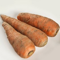 국내산 싱싱한 무농약 당근 1kg