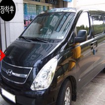 YDW7B1C00 리어윙 리어 스포일러 사이드가니쉬 자동차 레이범퍼 바디킷 에어댐 차량용튜닝용품 그랜드스타렉스 레터링엠블럼 루프 프론트 자동차엠블럼 세차용품세트, 단일 차종