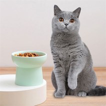 고양이강아지 빗살패턴 세라믹 물그릇 1구애견식기, 민트