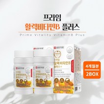 힘 기운 없을때 지칠때 육체 피로 체력 저하 조혈 에너지 필요할때 에 좋은 먹는 프리미엄 비타민 비 복합체 영양제 남성 여성 중년 장년, 2BOX(4개월분)