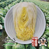태서식품 태백고원 절임배추, 20kg, 1개, 1개