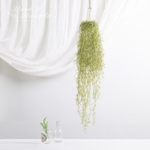 마쉬매리골드 조화 수염 틸란드시아 행잉_80CM, 단품
