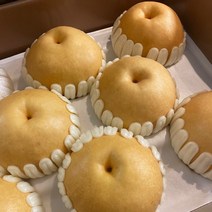 대감댁 나주배 신고배 5kg 추석선물세트 못난이 흠집 배즙용 기스 흠과, 신고배 특품 (23년) 5kg (8-10과)