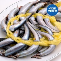 국산 동해 속초 알배기 양미리 40미 1.4kg내외 구이 조림용 제철 양어 반건조양미리, 국내산 동해 양미리 40미