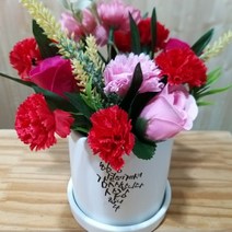 인플랜츠팜 카네이션 캘리그라피 도자기화분 비누 조화꽃 받침 포함 랜덤