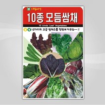 슬로시 슬로시 쌈채 씨앗, 모듬쌈채10종1000립(아람)