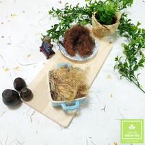 금림식품 국내산 말린 옥수수 수염 옥발 옥촉서예 200g, 1개