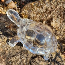 개업선물 풍수 소품 투명 거북이 춘식이찹쌀떡쿠션 모몽가포대기 진주하모인형 털찐하치와레 명태오브제 asdasdr*89964100iK, 본상품선택