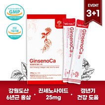 [3+1] 진세노카 홍삼젤리스틱 (4박스 총56포) - GinsenoCa, 4개