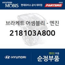 브라켓-엔진 마운팅(엔진미미) (218103A800)-현대모비스 부품 공식대리점 온라인쇼핑몰 파츠로 트라제XG