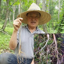 달뫼산장뇌삼 장뇌삼 8년근 모음 산양삼 자연산삼 자연산 산삼, 10개입