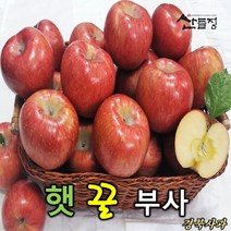 경북사과 햇 꿀 부사 사과10kg 5kg 3kg [산지직송] 산들정, 1box, 05. 사과 10kg (41~46과 내외) 가정용 흠과