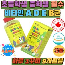 초등학생 비타민 A D E B6 B12 GUMMI KIDS 구미영양제 성장기 유아 아이 3 5 7 살 세 멀티 비타민 꾸미 젤리 캐나다 직수입 씹어먹는 맛있는 키즈 어린이 영양제