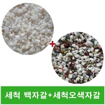 세척 백자갈 오색자갈 수경재배 화분마감 인테리어 조경 테라리움
