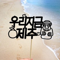 빅토리아데코 새해토퍼 크리스마스 신혼 가족 여행토퍼 피켓 투명 부채토퍼 케이크토퍼 메세지픽 제작, 1개, 여행토퍼_A-317-1-우리지금제주