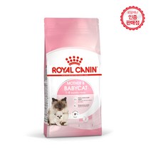 로얄캐닌 마더 앤 베이비 캣 4kg