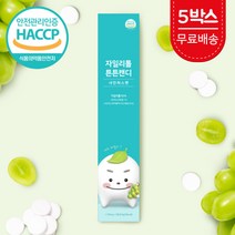 자일리톨 튼튼캔디 핀란드 천연 자이리톨 자일스톤 덴티캔디 아기 유아용 어린이 무설탕 맛있는 양치 충치예방 무설탕 무가당 캔디 사탕 스톤 간식 청포도 샤인머스켓 낱개포장 휴대용, 튼튼캔디 5박스